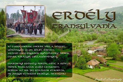 ERD02.jpg